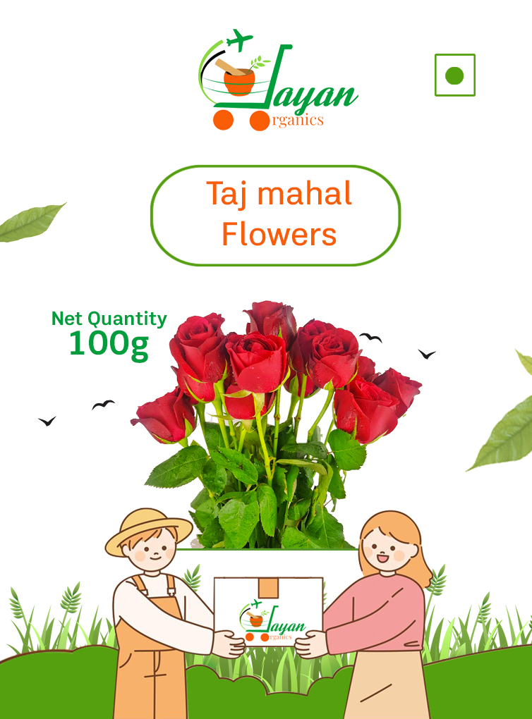 Tajmahal Rose