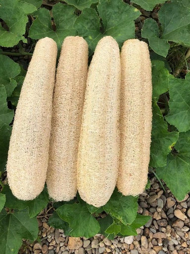 Jayan Natural Scrubber