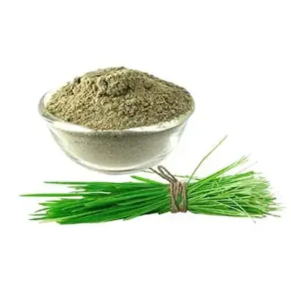Arugampul Powder